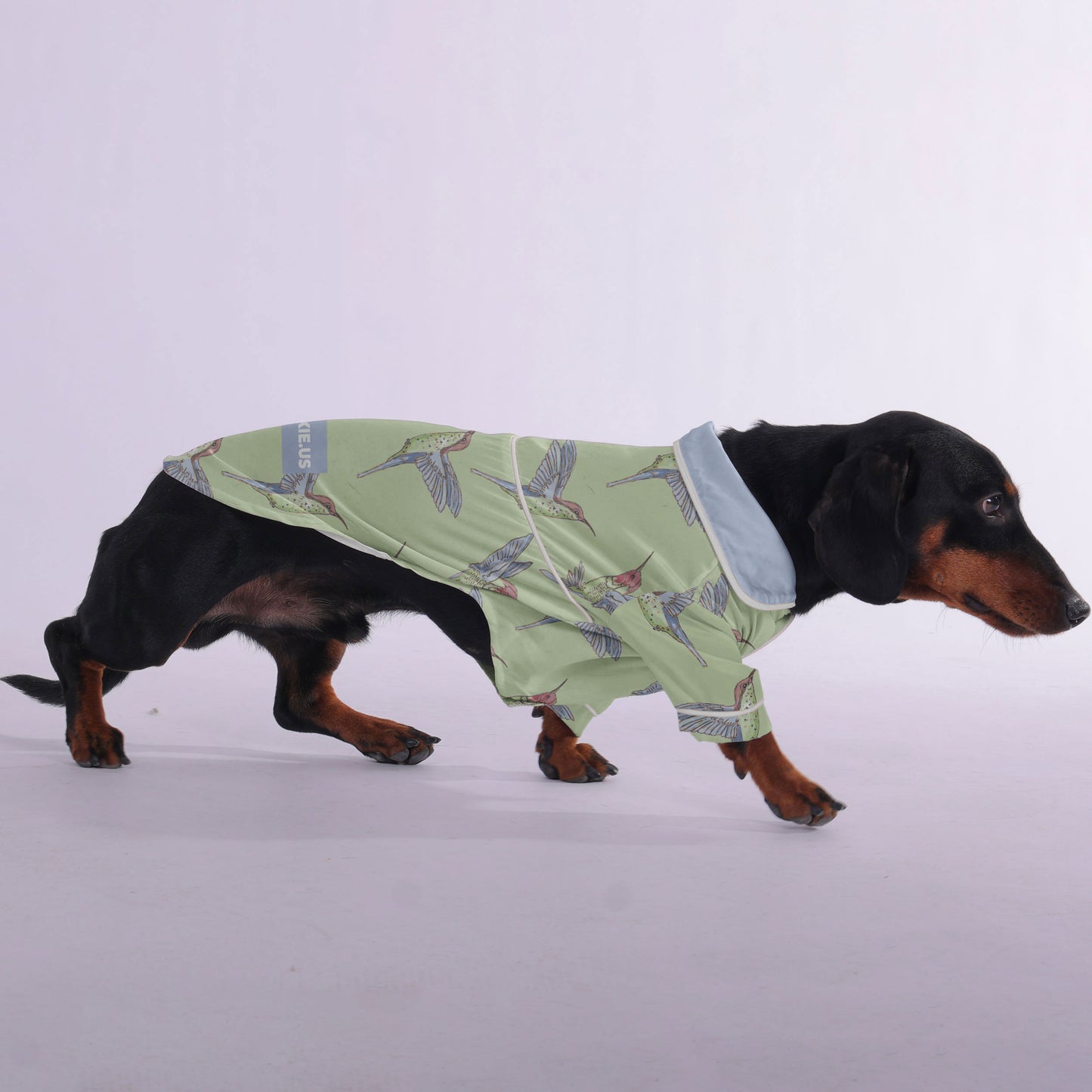 Ray -  Pajamas for Dachshund