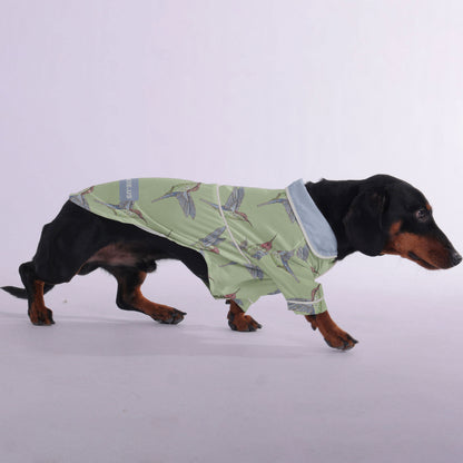 Ray -  Pajamas for Dachshund
