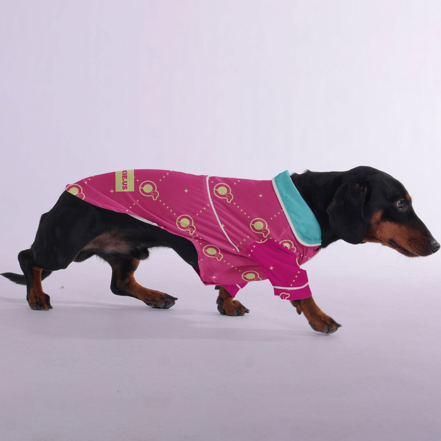 Angel  -  Pajamas for Dachshund