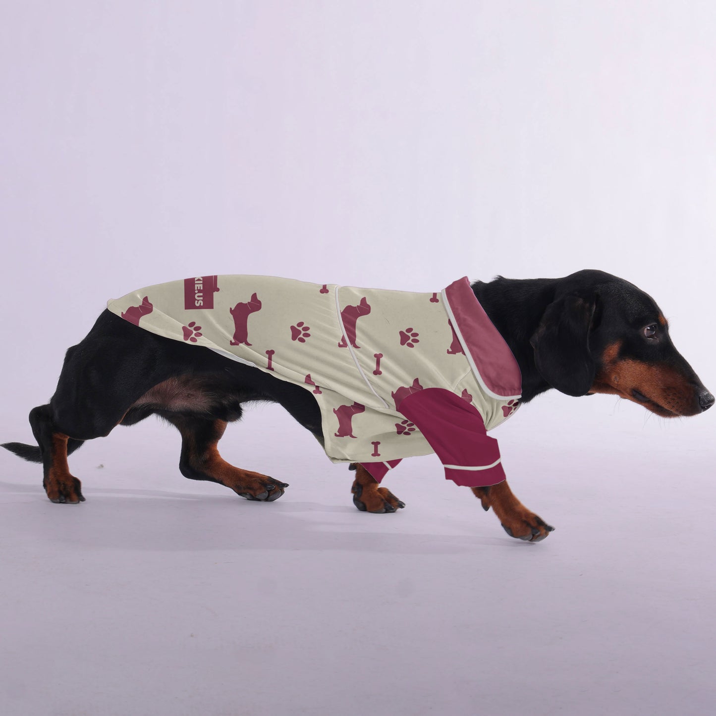 Winston -  Pajamas for Dachshund