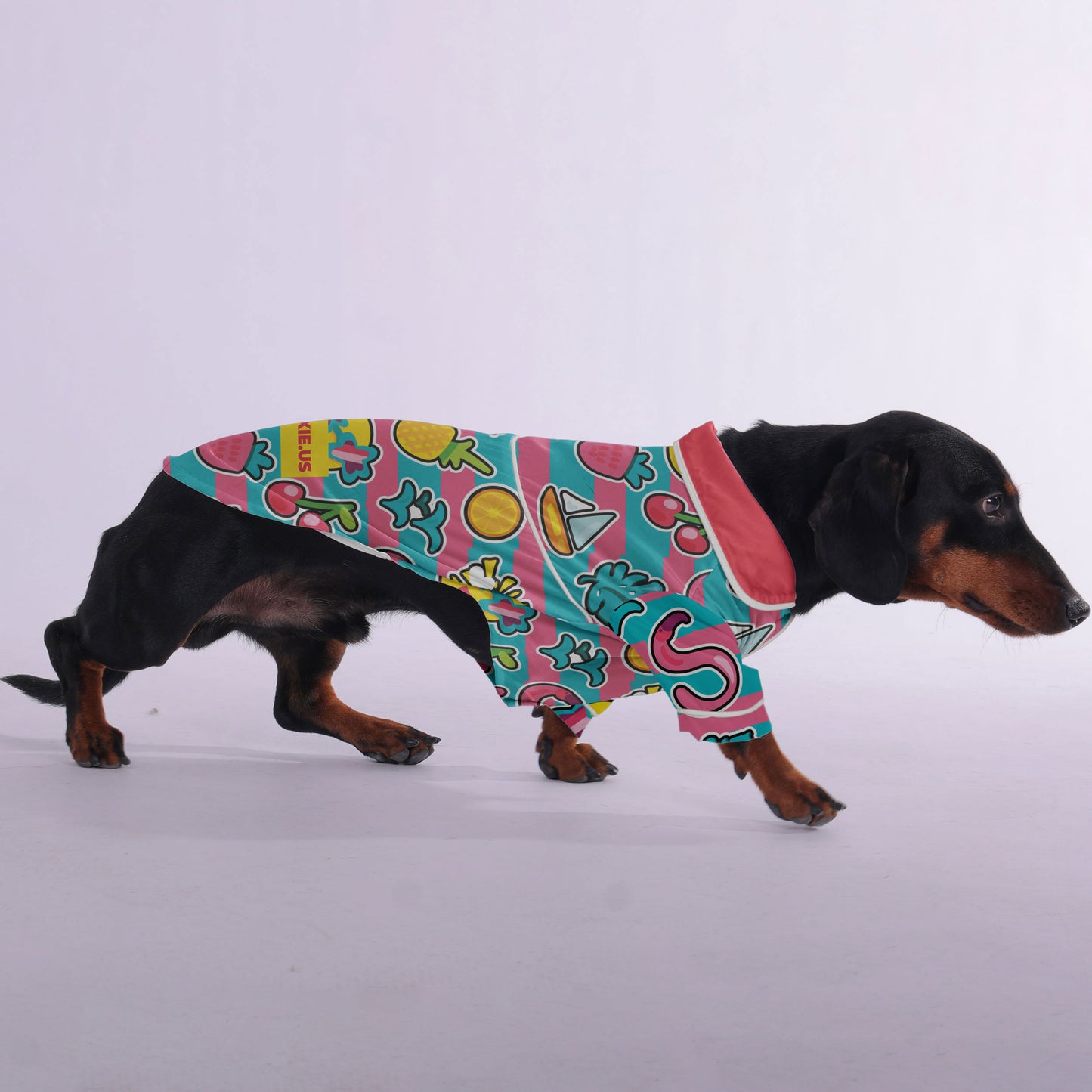 Betty -  Pajamas for Dachshund