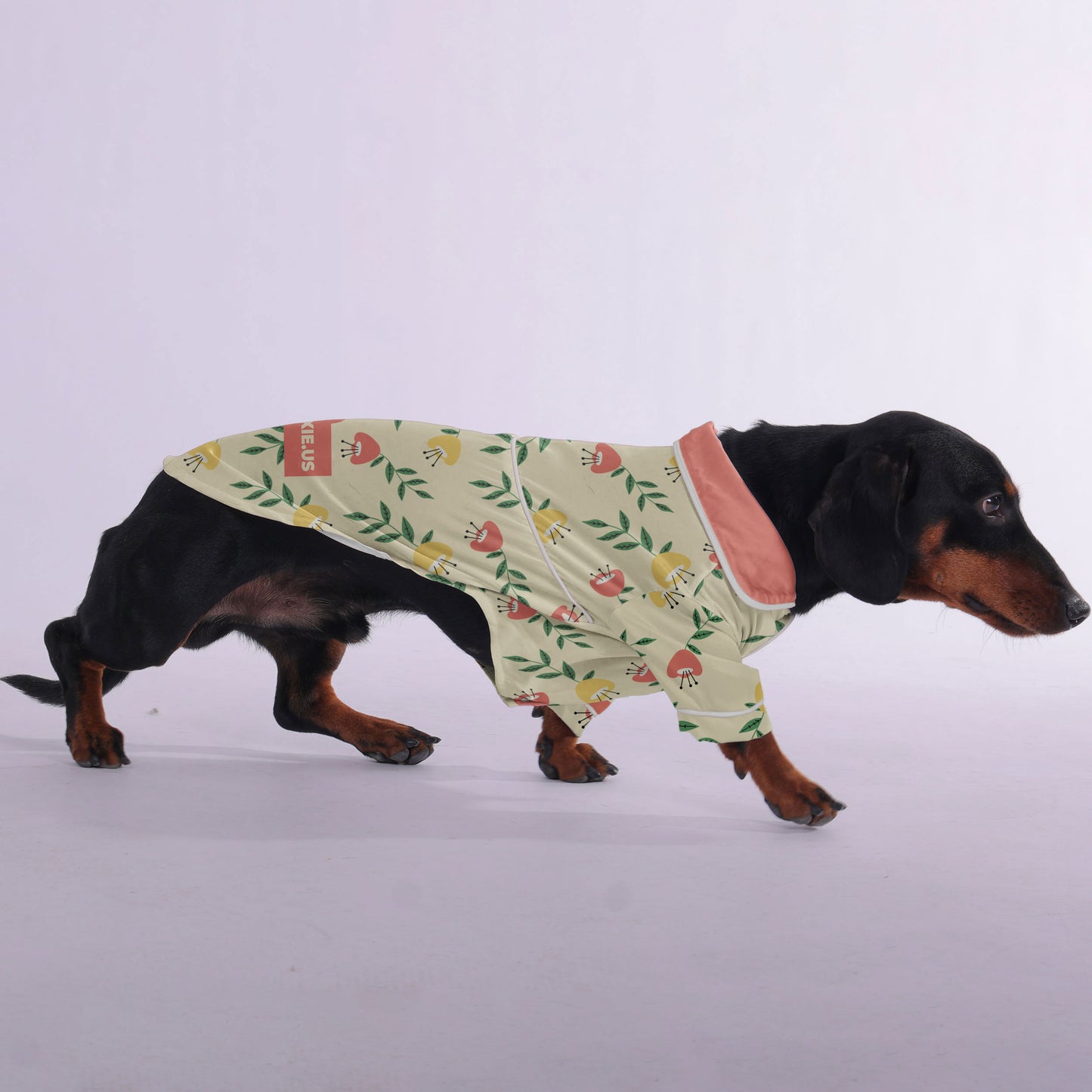 Poppy -  Pajamas for Dachshund