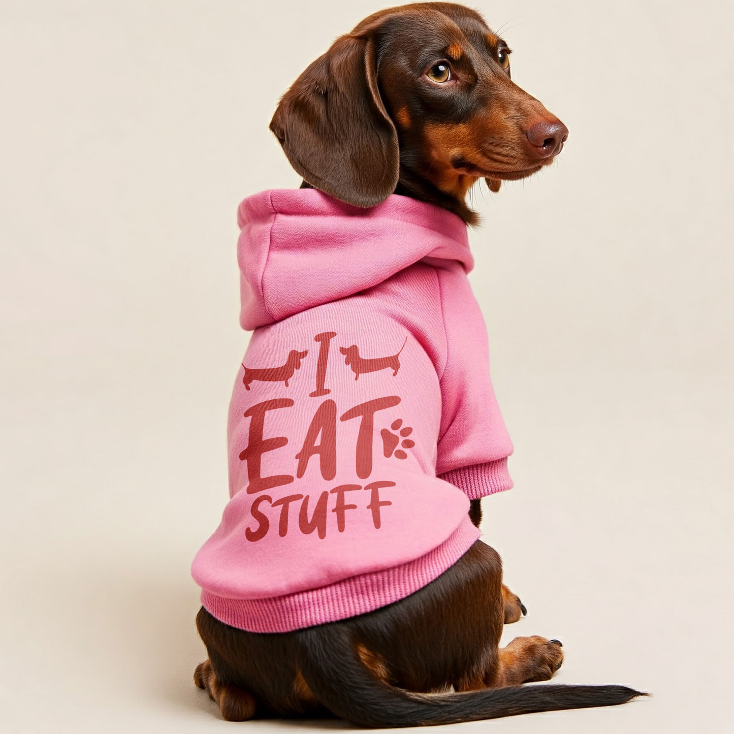 I EAT STUFF - Personalized Dachshund Hoodies with Funny Quotes – Stylish, Cozy, and Premium 100% Cotton