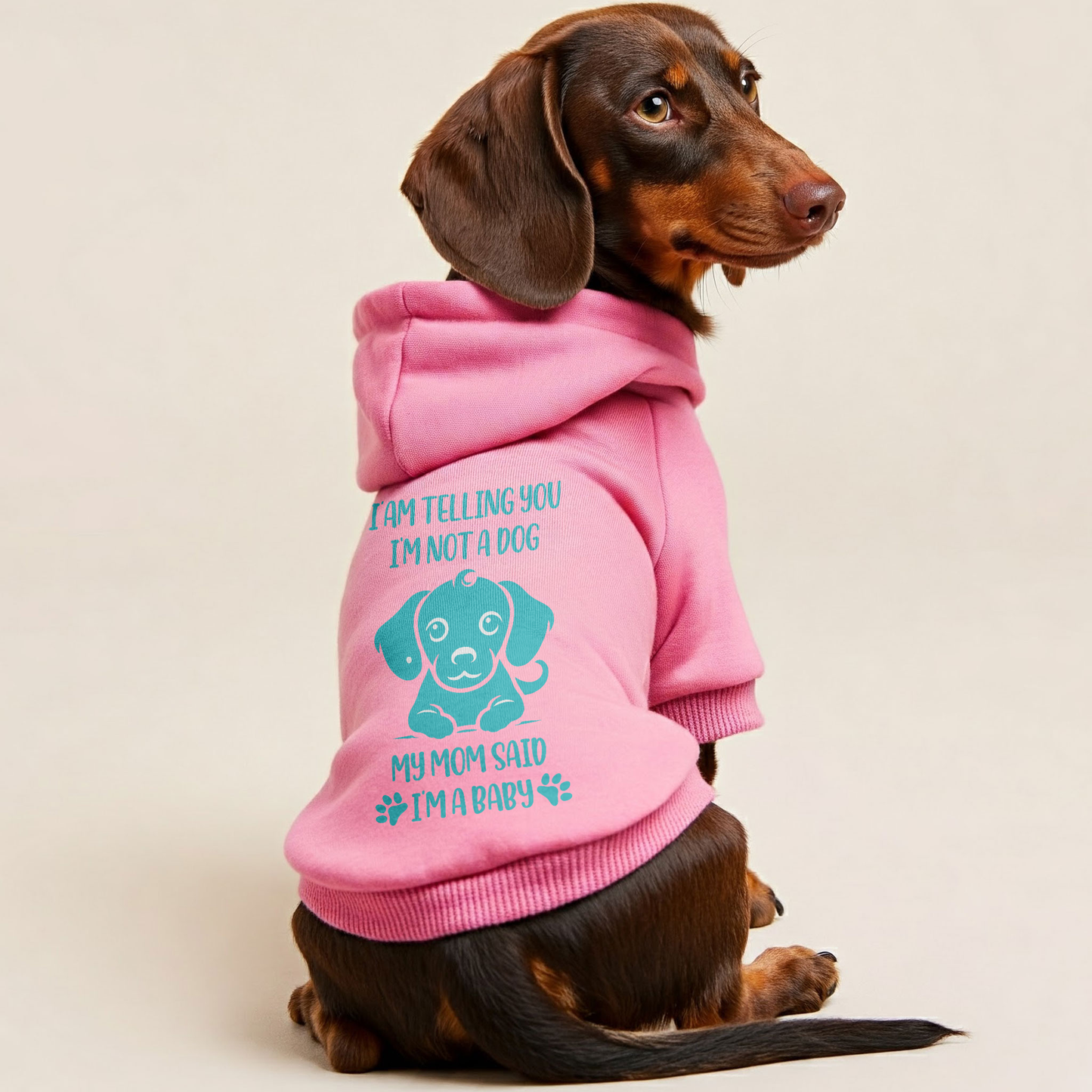 The Baby - Personalized Dachshund Hoodies with Funny Quotes – Stylish, Cozy, and Premium 100% Cotton