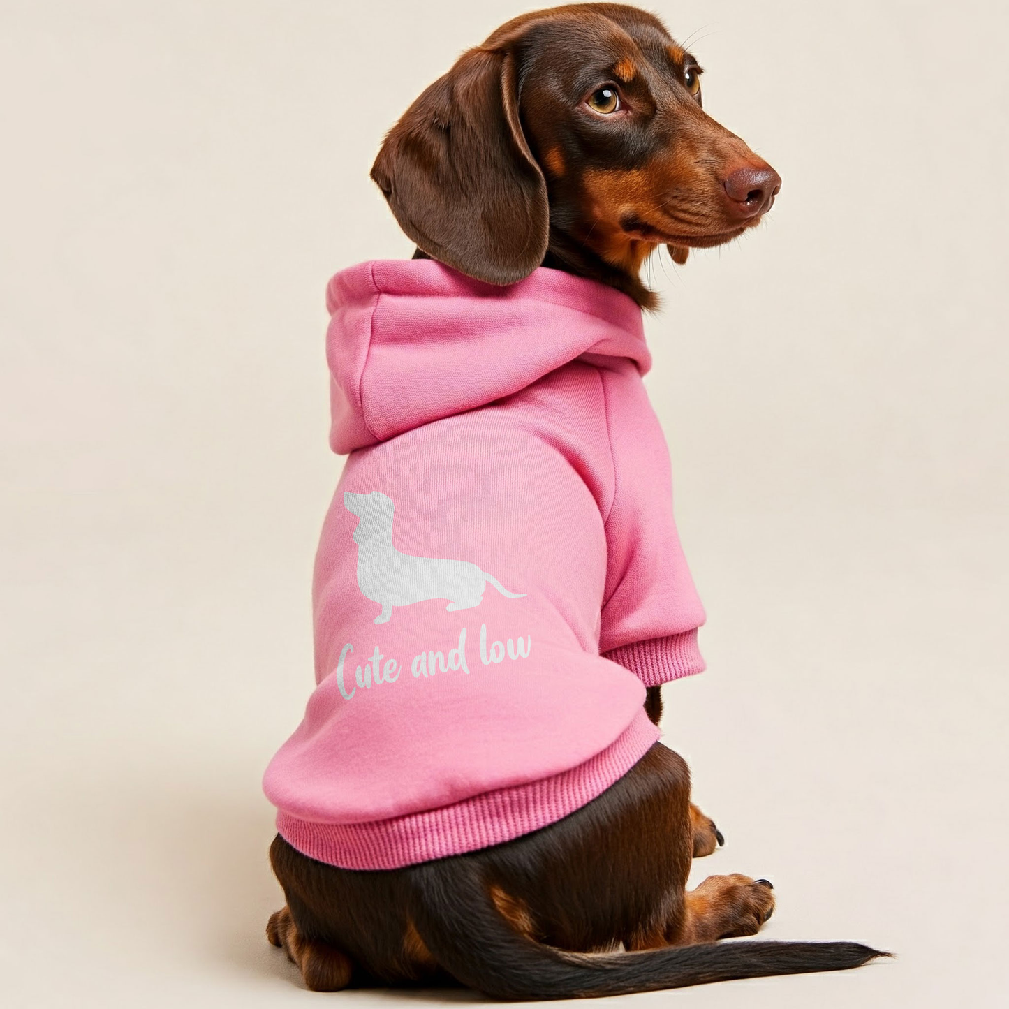 Cute and Low - Personalized Dachshund Hoodies with Funny Quotes – Stylish, Cozy, and Premium 100% Cotton