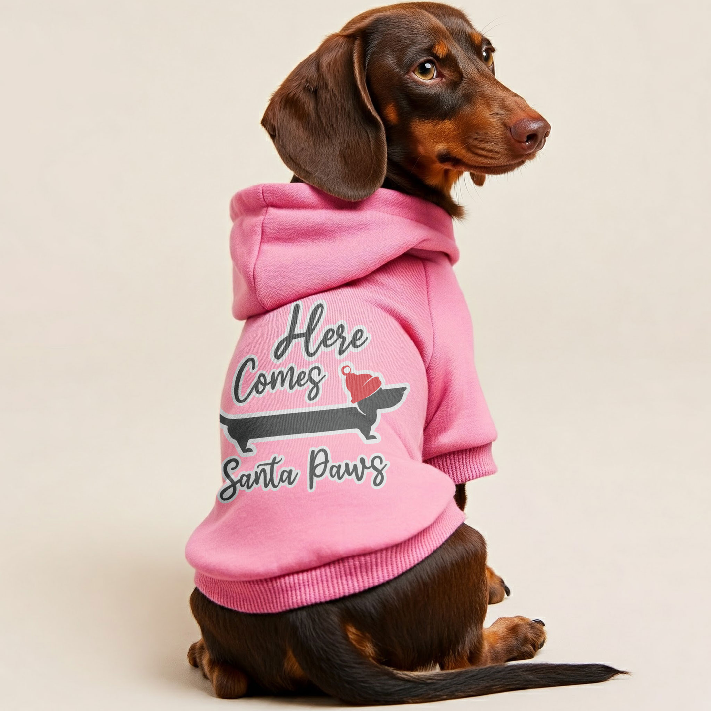 Santa Paws - Personalized Dachshund Hoodies with Funny Quotes – Stylish, Cozy, and Premium 100% Cotton