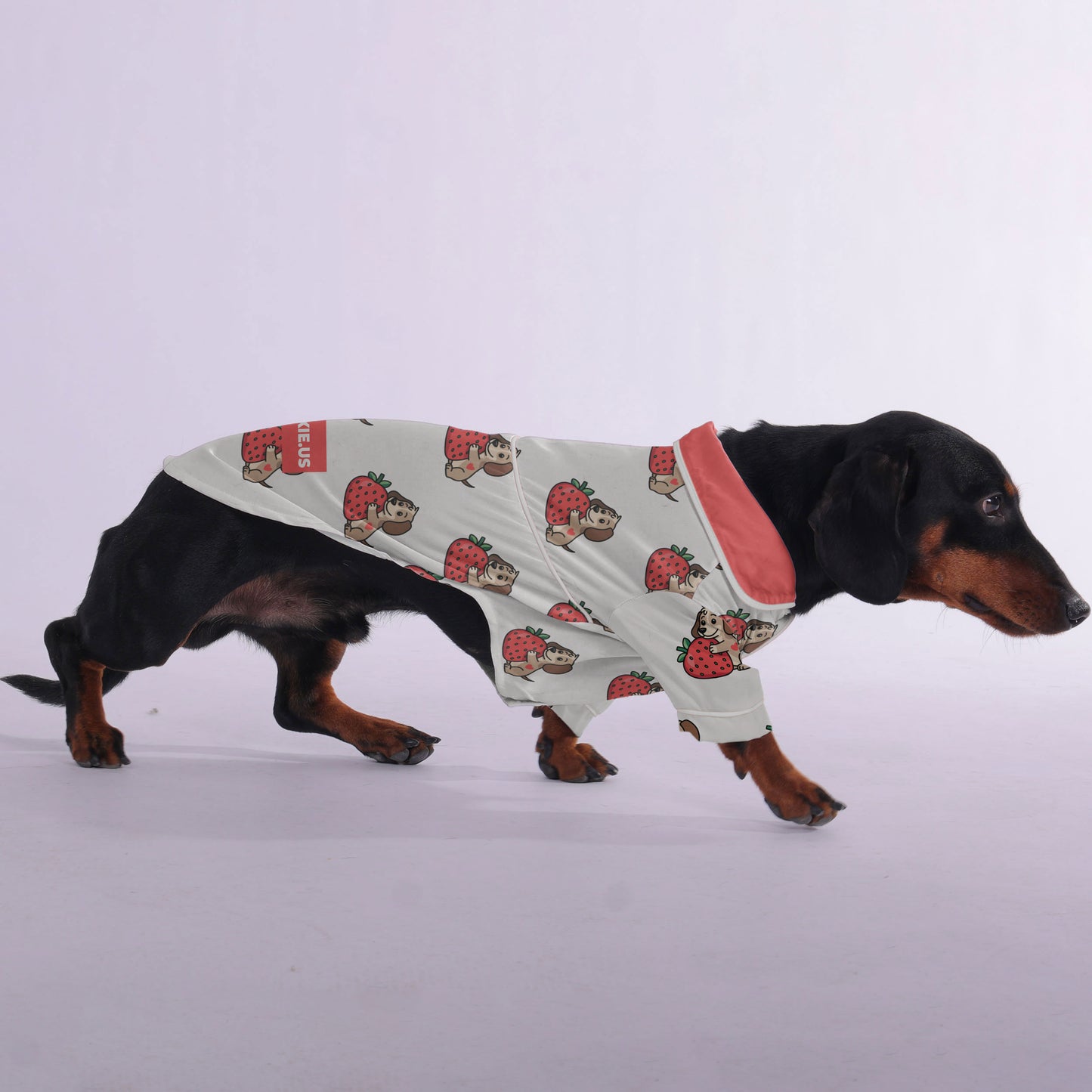 Dylan - Pajamas for Dachshund