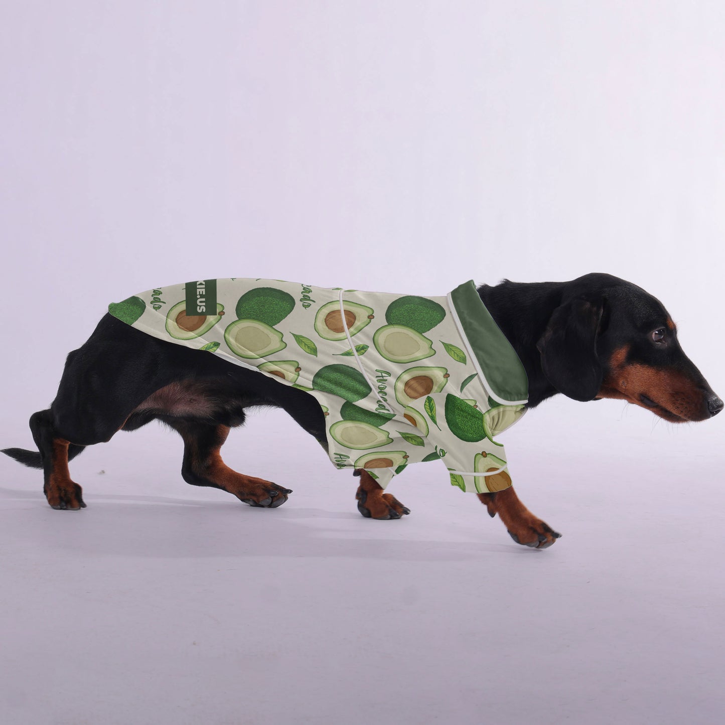 Shannon - Pajamas for Dachshund