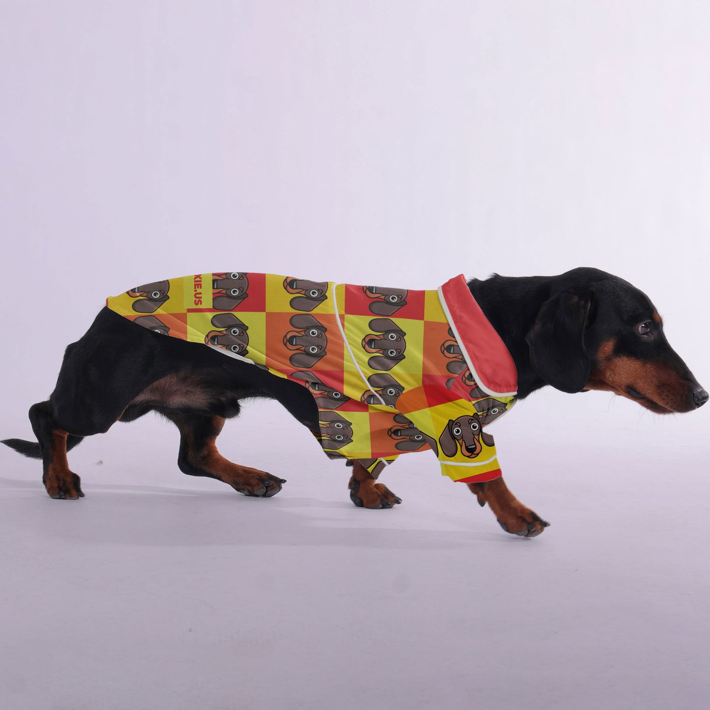 Lincoln -  Pajamas for Dachshund