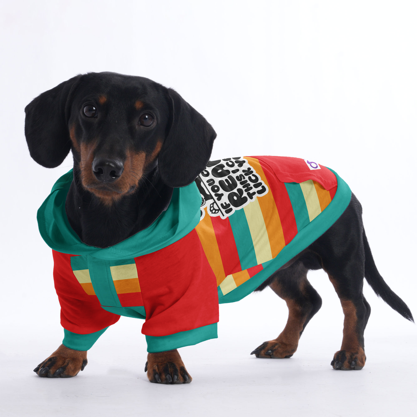 If you can read this , I can lick you - Hoodies for Dachshunds