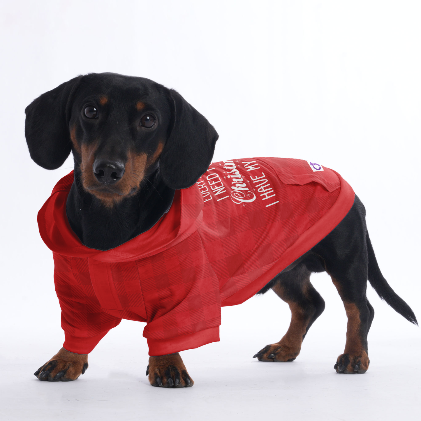 I have everything I need for Christmas. I have my human - Hoodies for Dachshunds