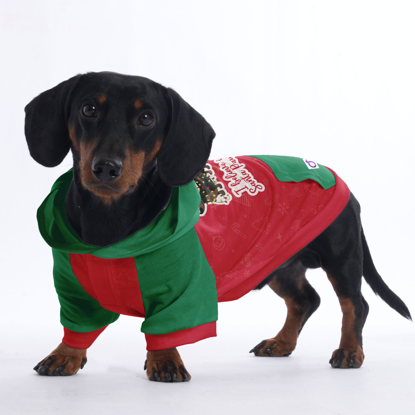 I belive in santa paws - Hoodies for Dachshunds