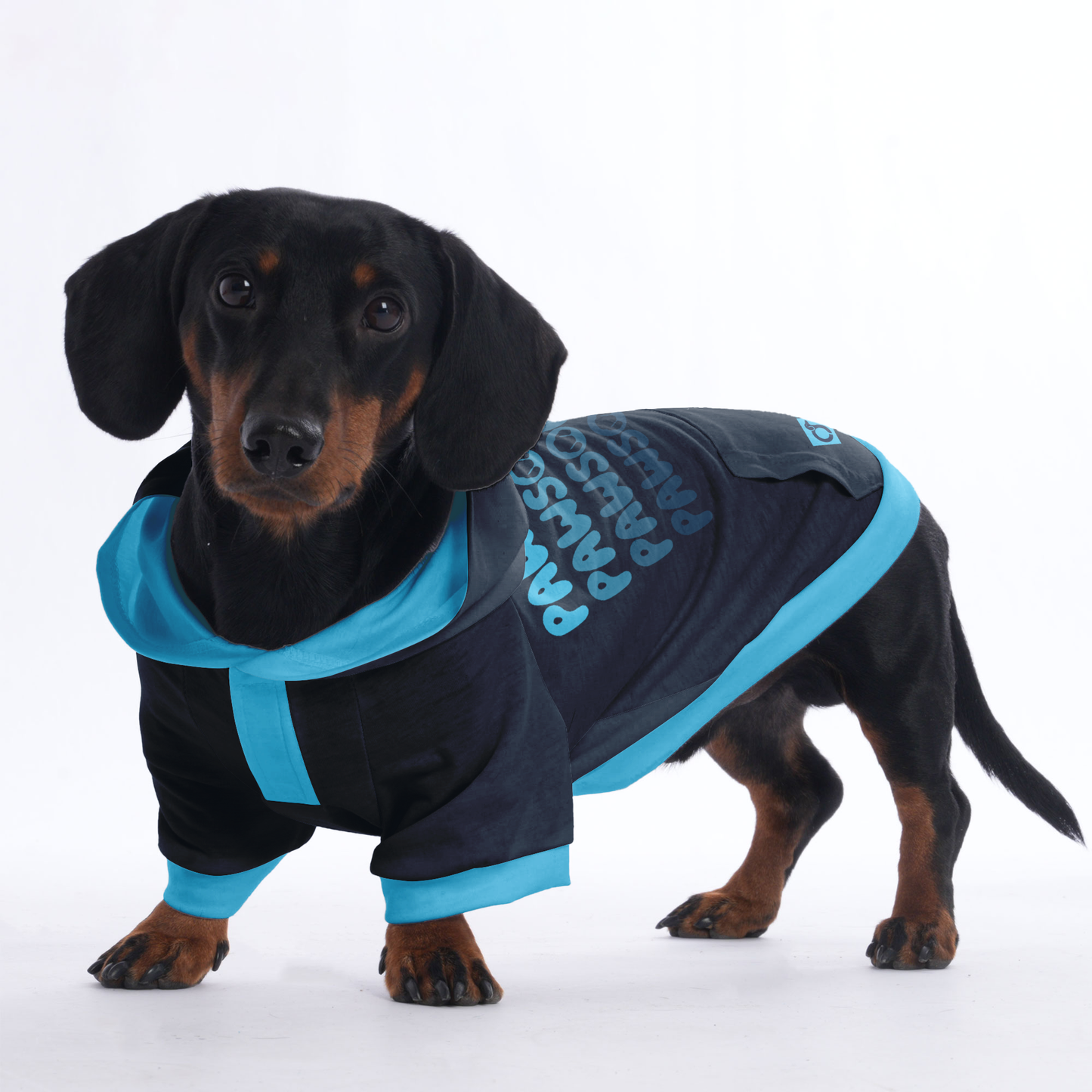 Pawsome - Hoodies for Dachshunds