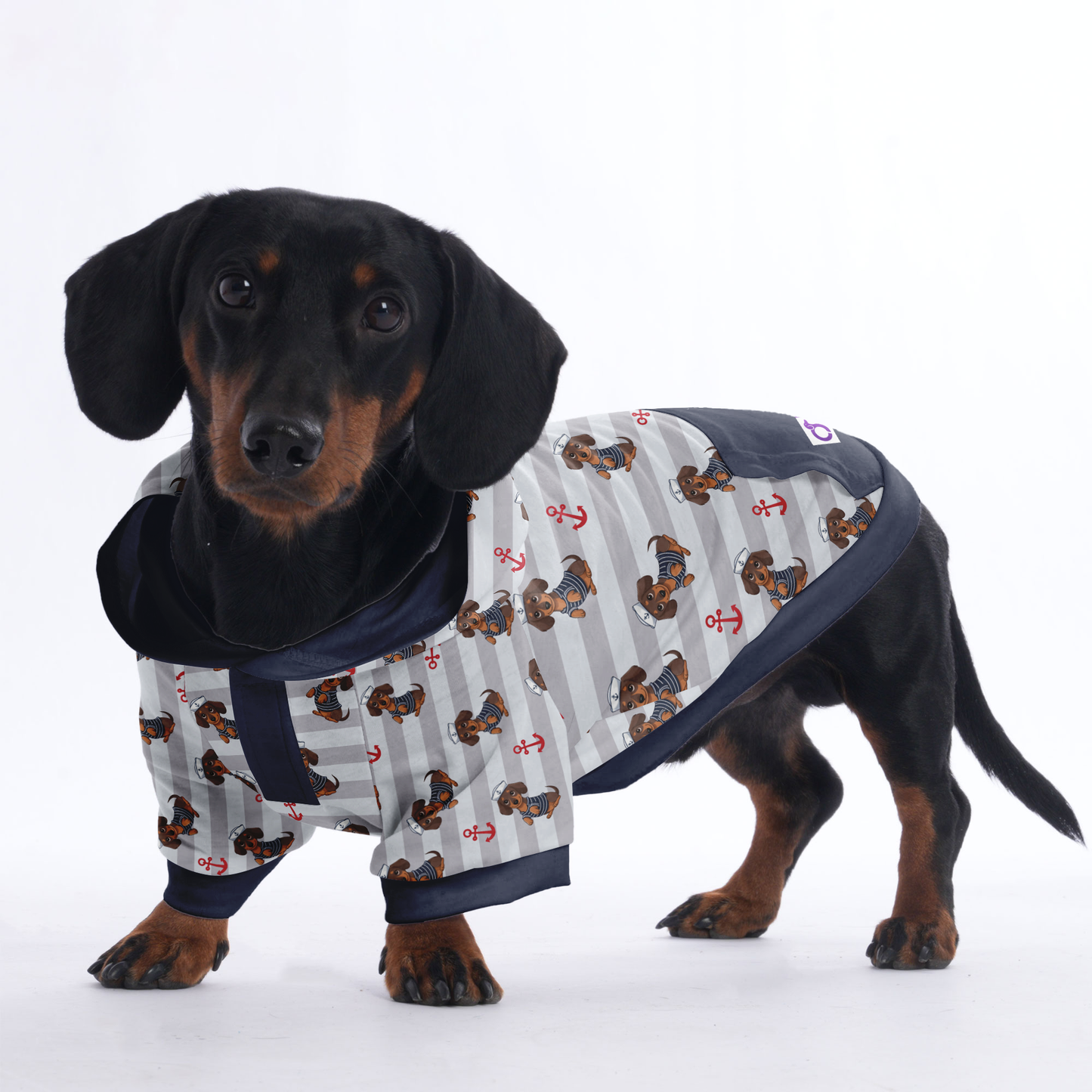 Ludwig  - Hoodies for Dachshunds