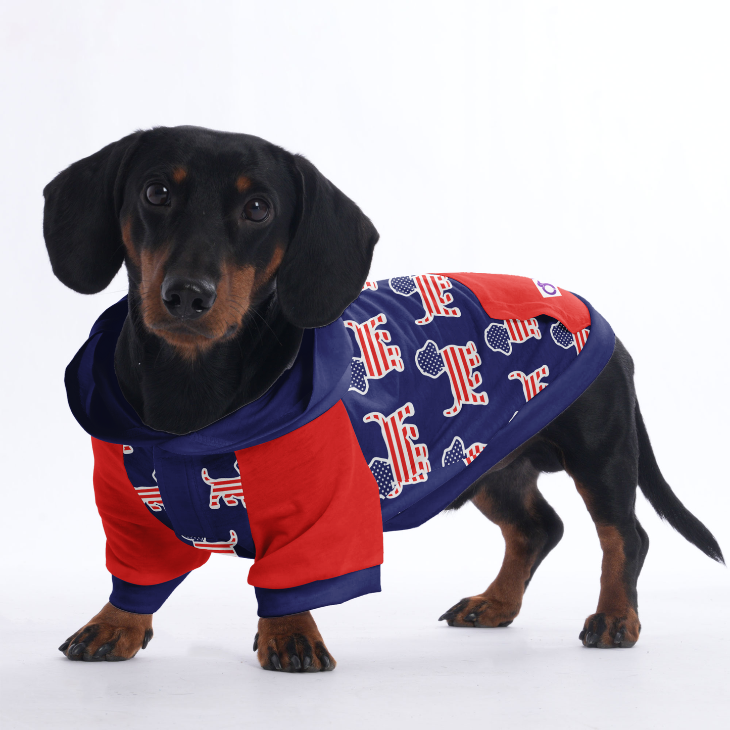 Lizzo - Hoodies for Dachshunds