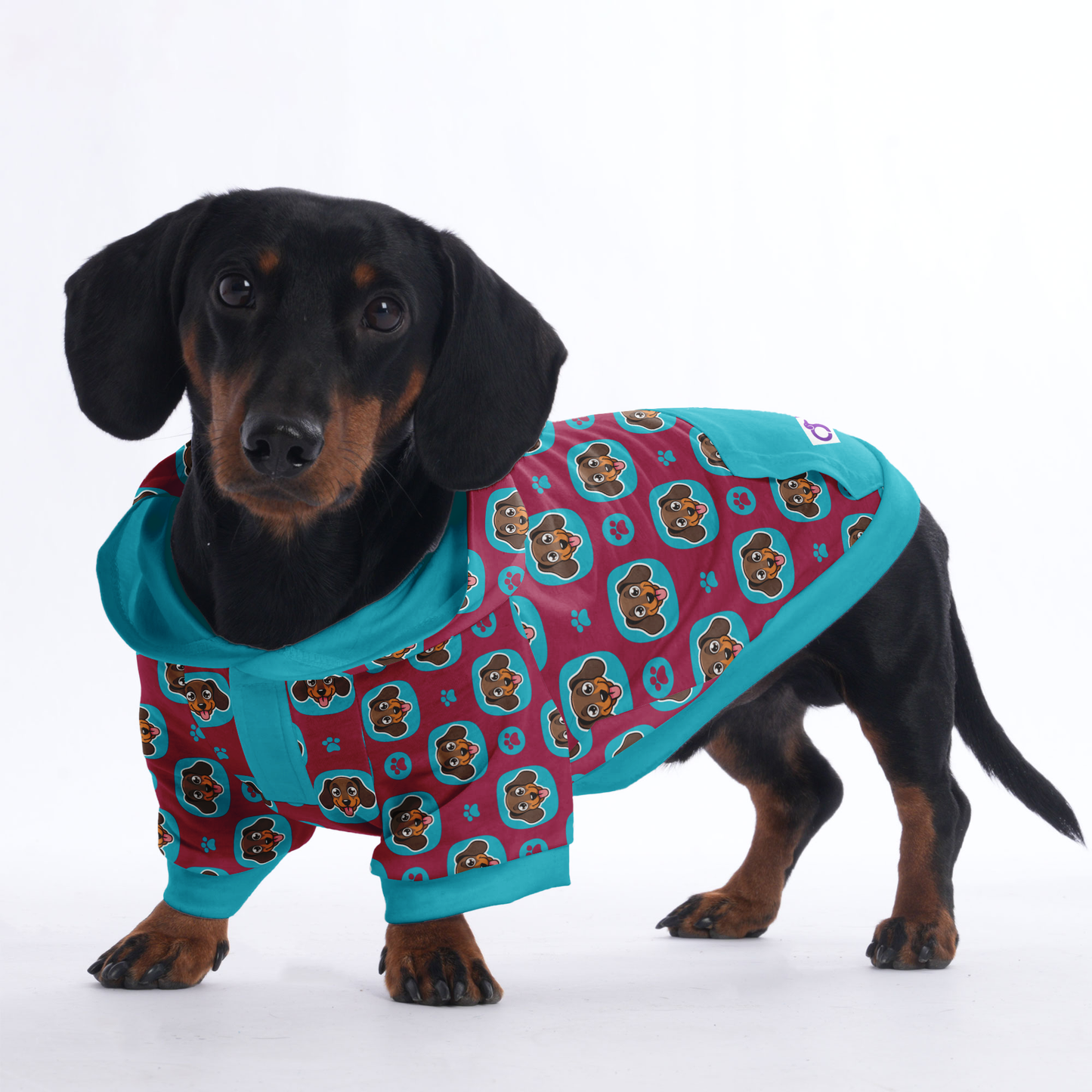 Riley - Hoodies for Dachshunds