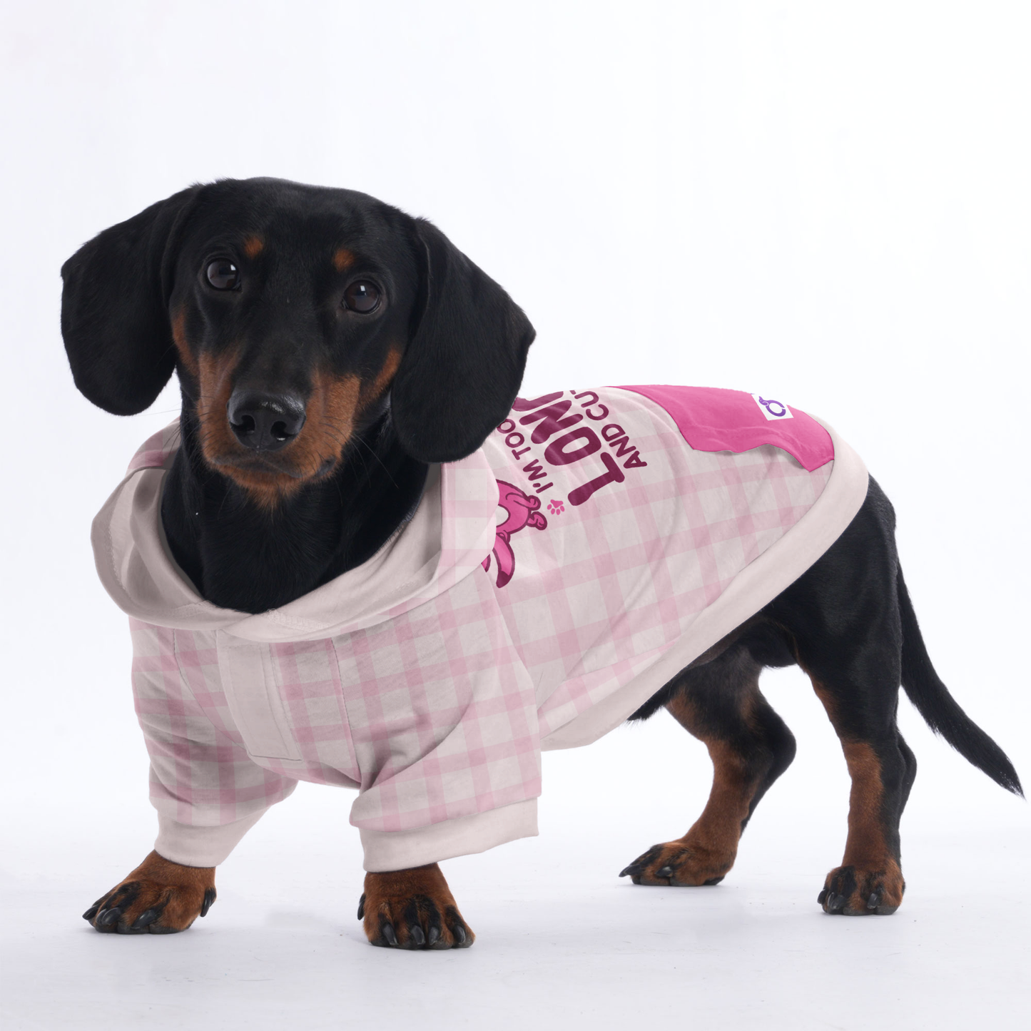 OMG , IM TOO LONG AND CUTE - Hoodies for Dachshunds