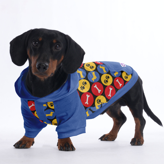 Jimi - Hoodies for Dachshunds