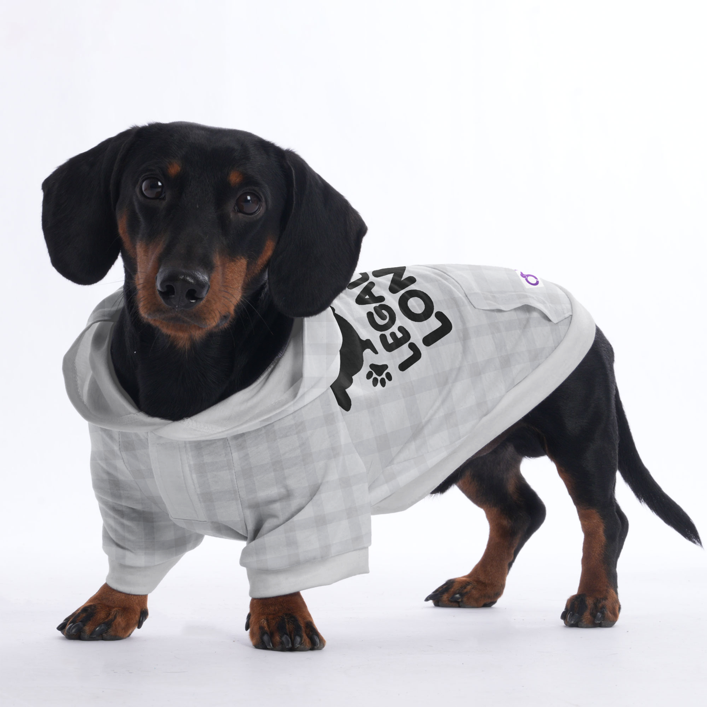 LEGALLY LONG  - Hoodies for Dachshunds