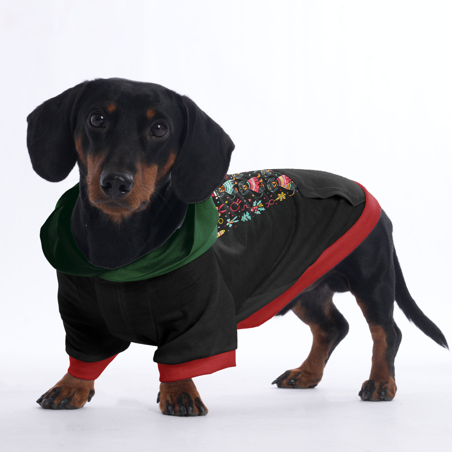 Luna - Hoodies for Dachshunds