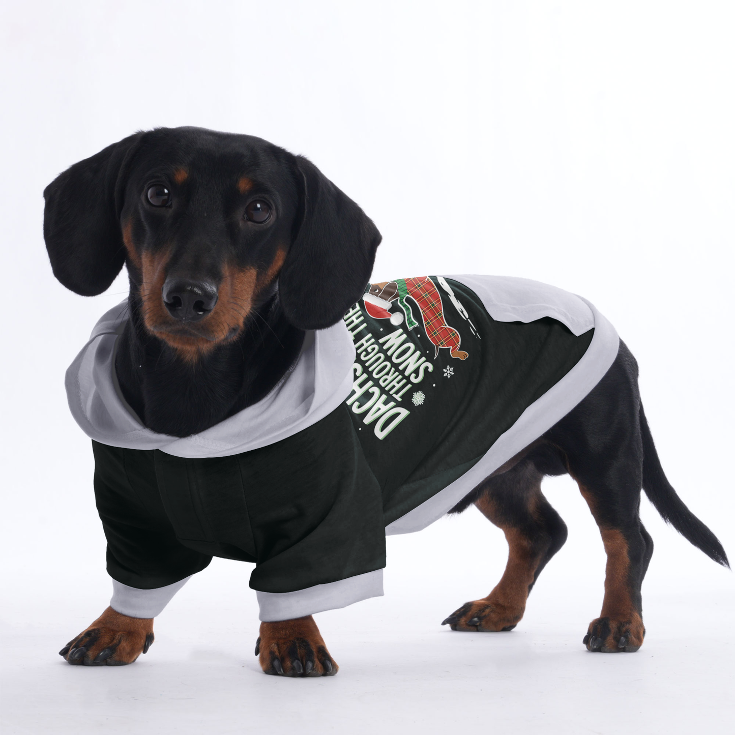 Coco - Hoodies for Dachshunds