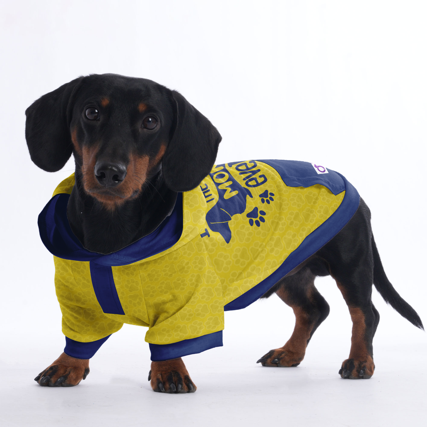 I have the best mom ever - Hoodies for Dachshunds