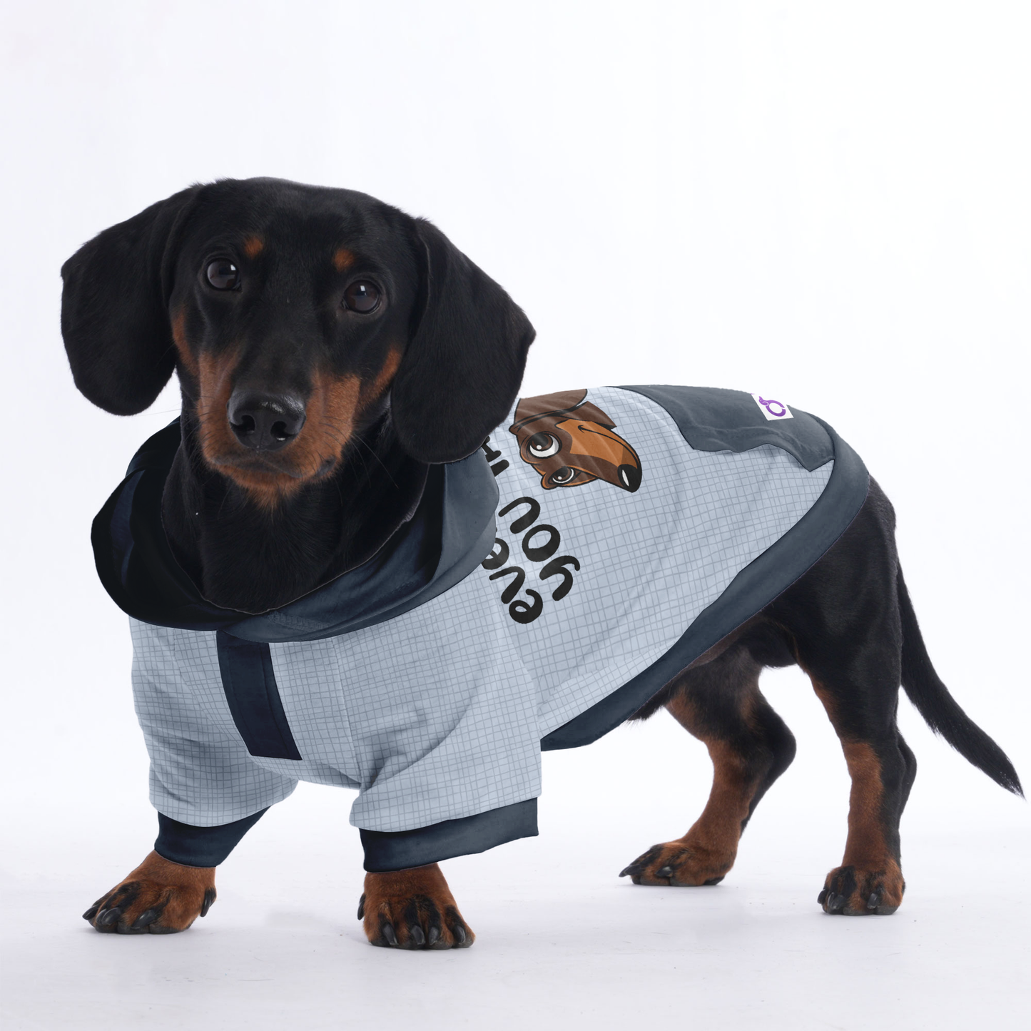 Every Bite you take - Hoodies for Dachshunds