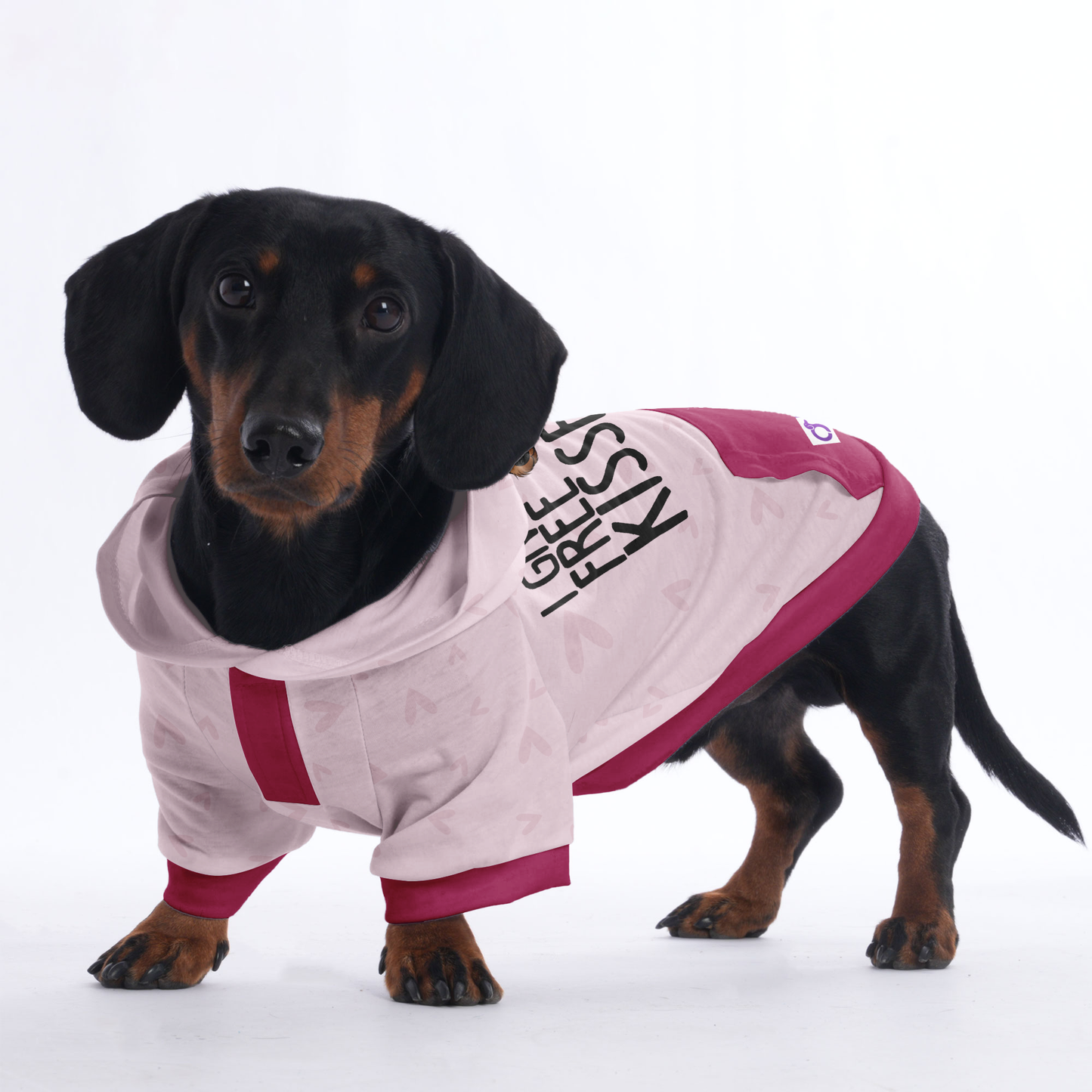 I give free kisses - Hoodies for Dachshunds