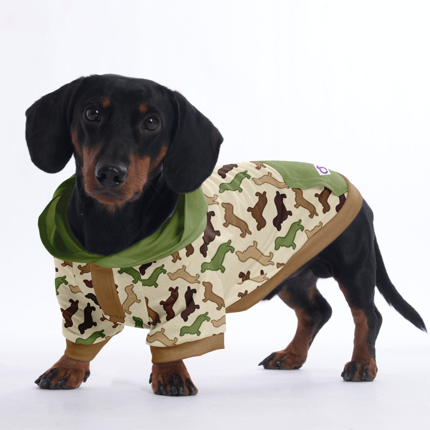 Ace - Hoodies for Dachshunds