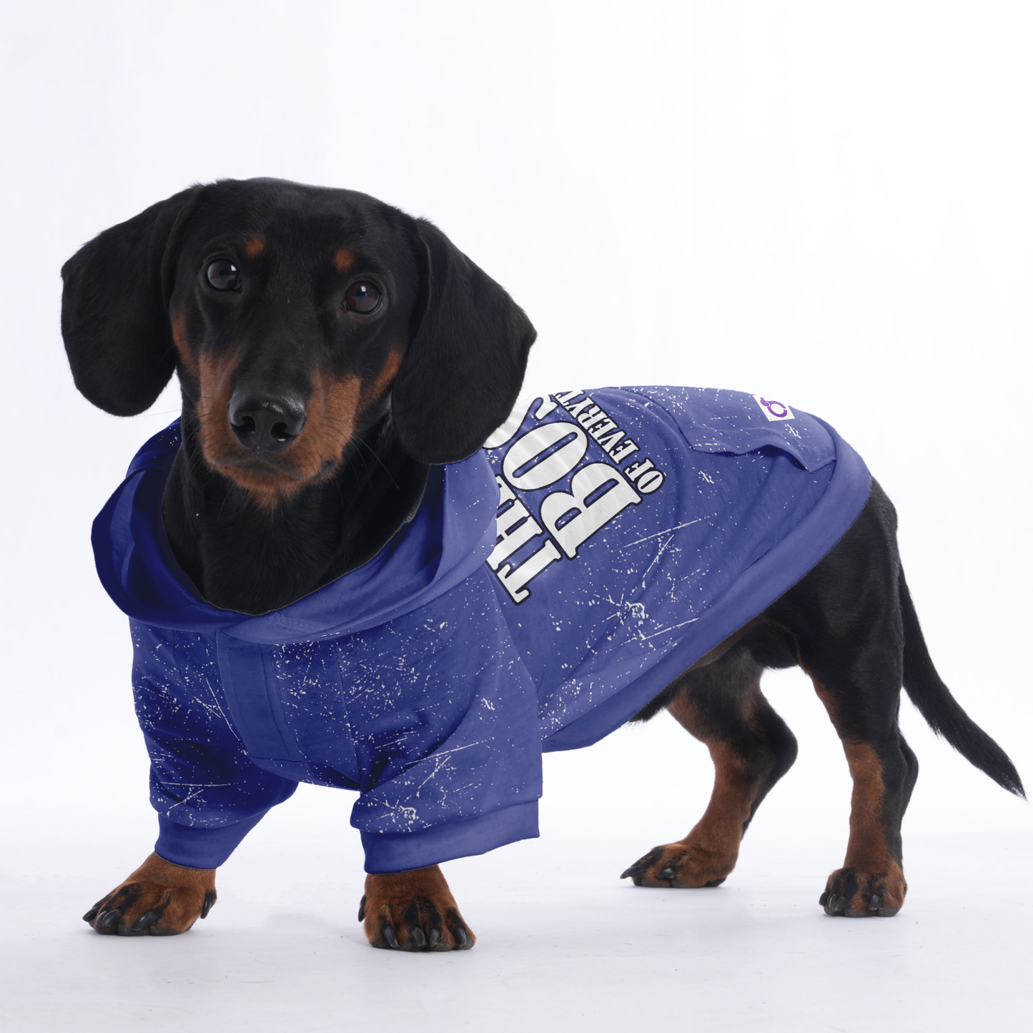 The boss of everything - Hoodies for Dachshunds