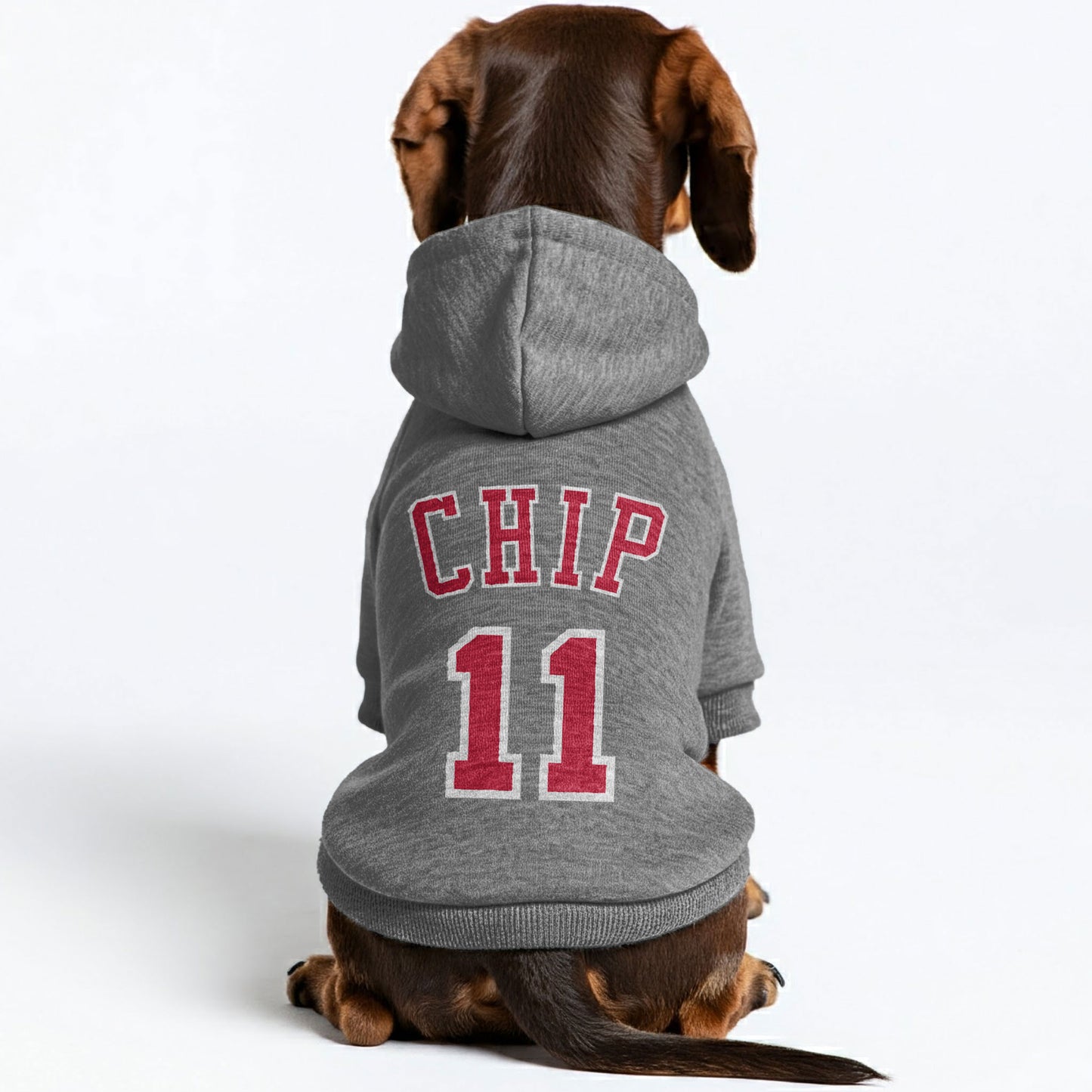 Nina - Personalized Dachshund Hoodies with your Doxie's name and number – Stylish, Cozy, and Premium 100% Cotton