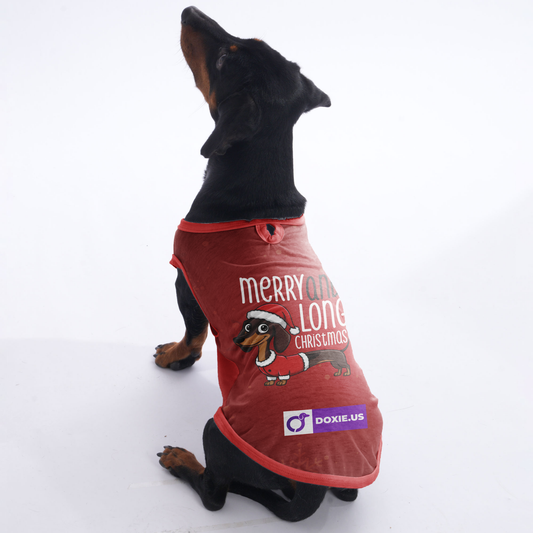 Merry and Long christmas  -  Shirt for Dachshunds