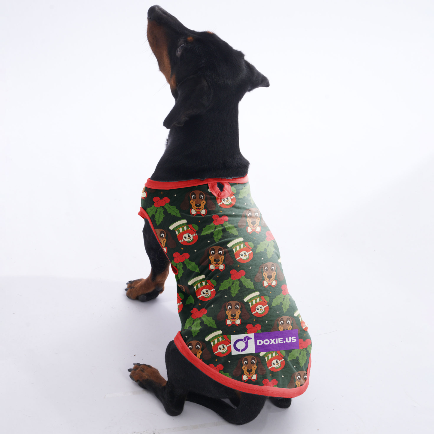 Dexter  -  Shirt for Dachshunds