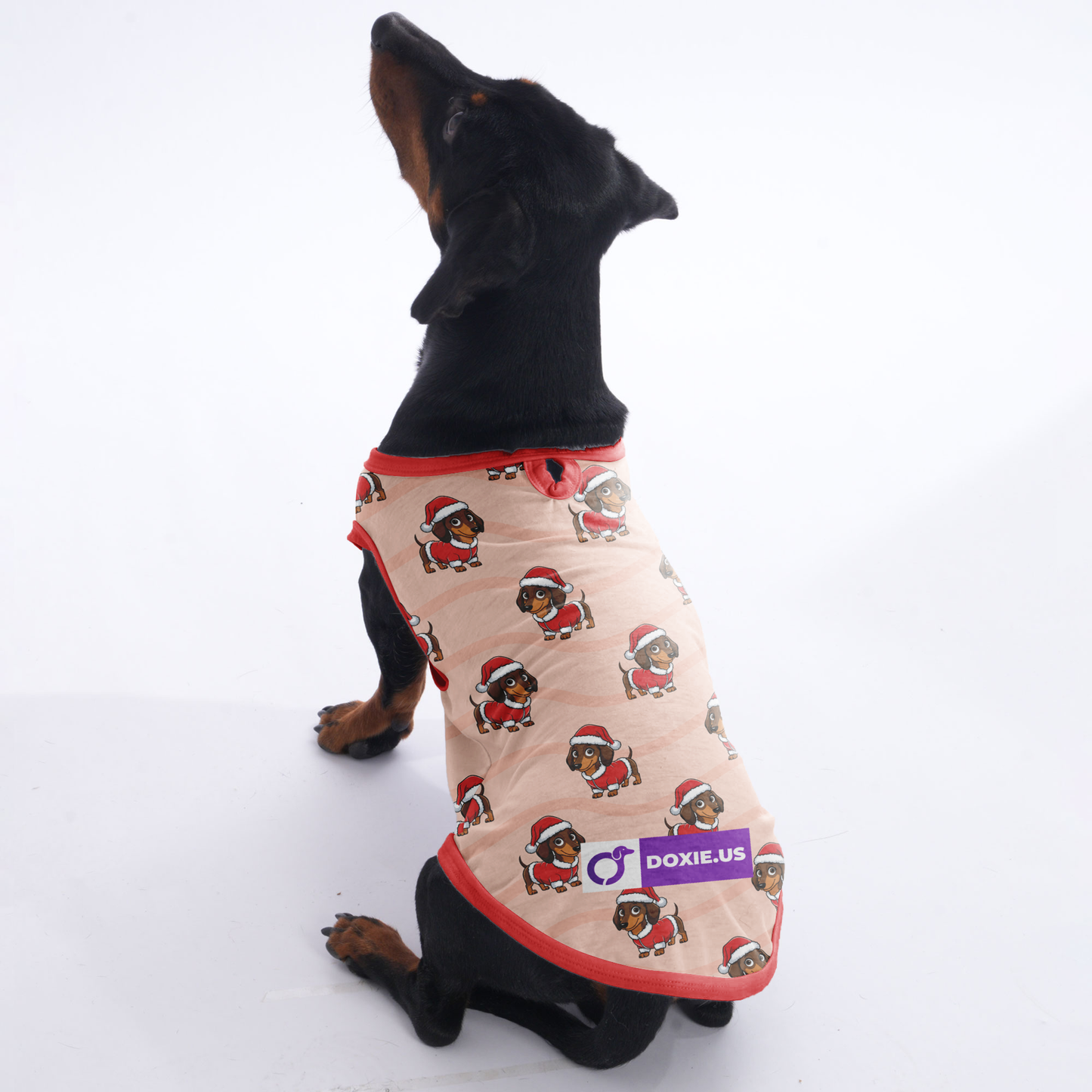 Mochi -  Shirt for Dachshunds