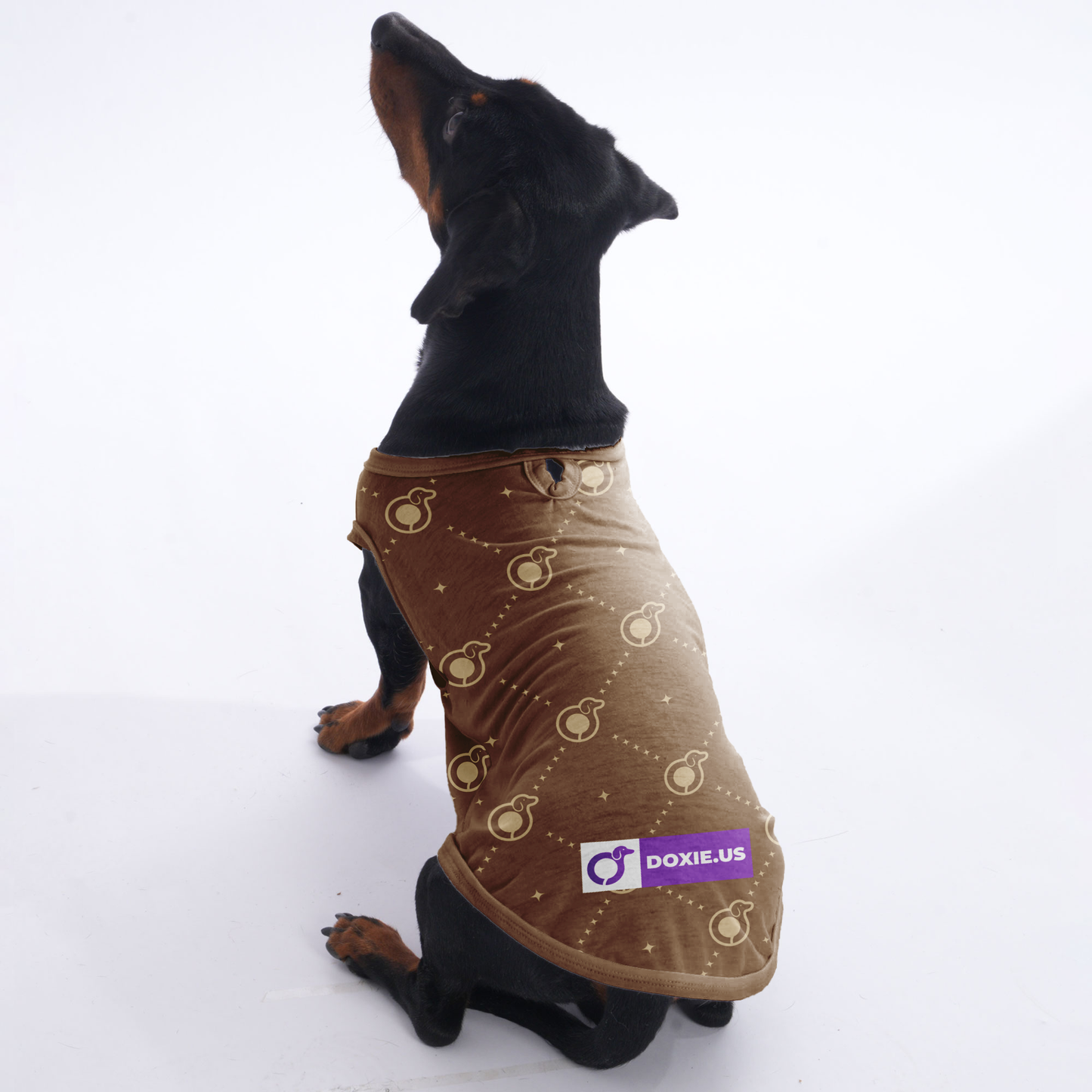 Harris  -  Shirt for Dachshunds