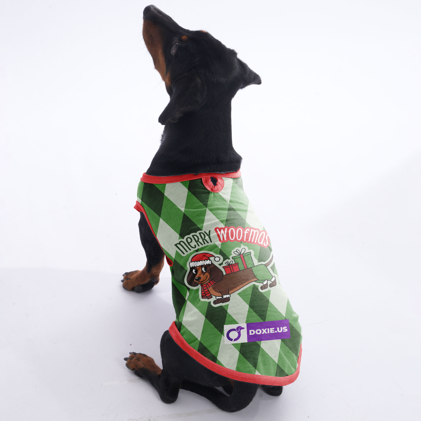 Merry woofmas -  Shirt for Dachshunds