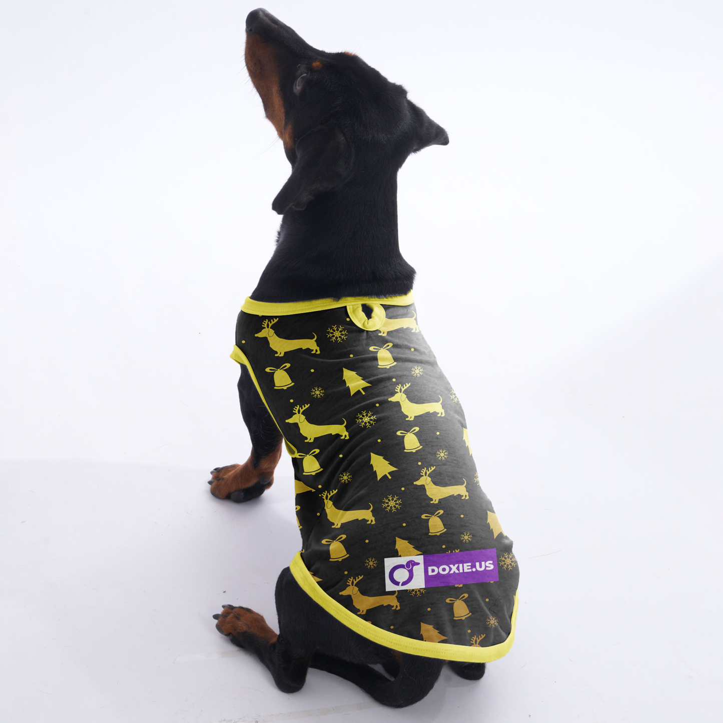 Travis -  Shirt for Dachshunds