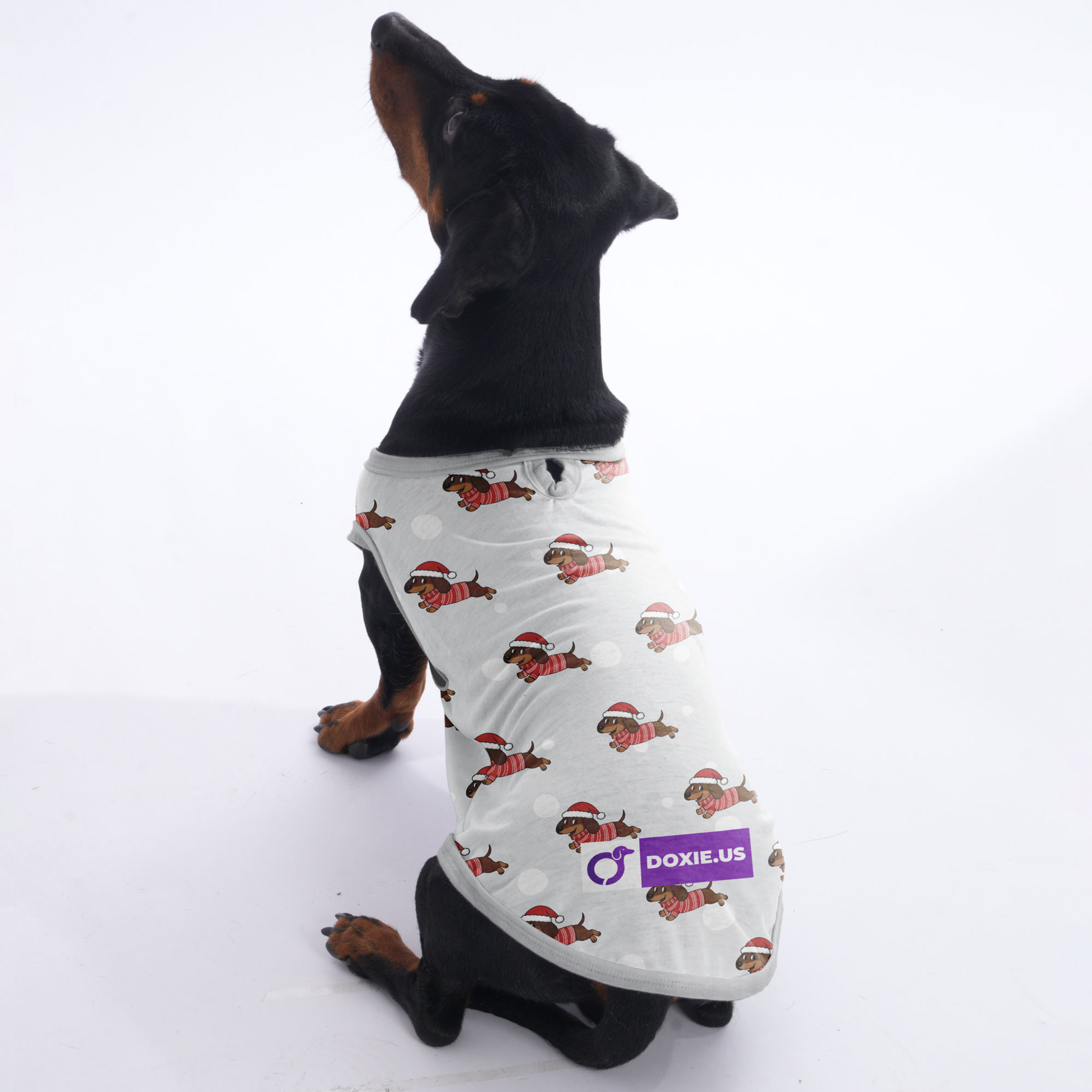 dachshund dress shirt Rubber Duck Shirt | Poshdoglife.com