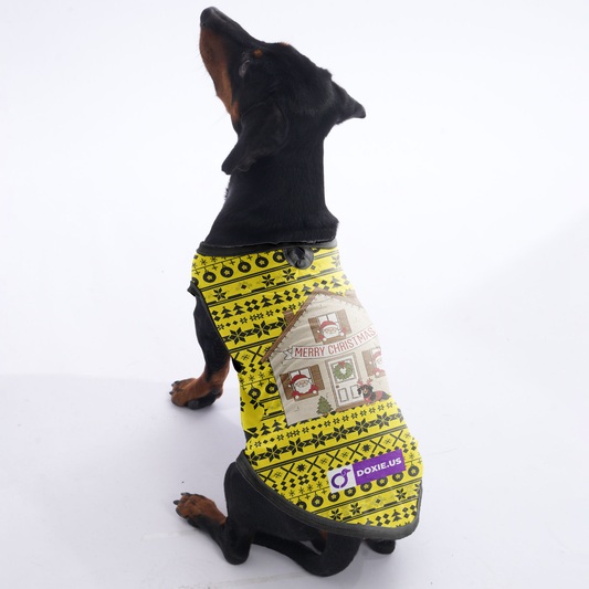 Bella - Shirt for Dachshunds