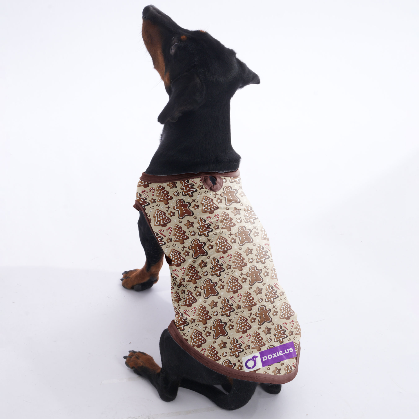 Molly -  Shirt for Dachshunds