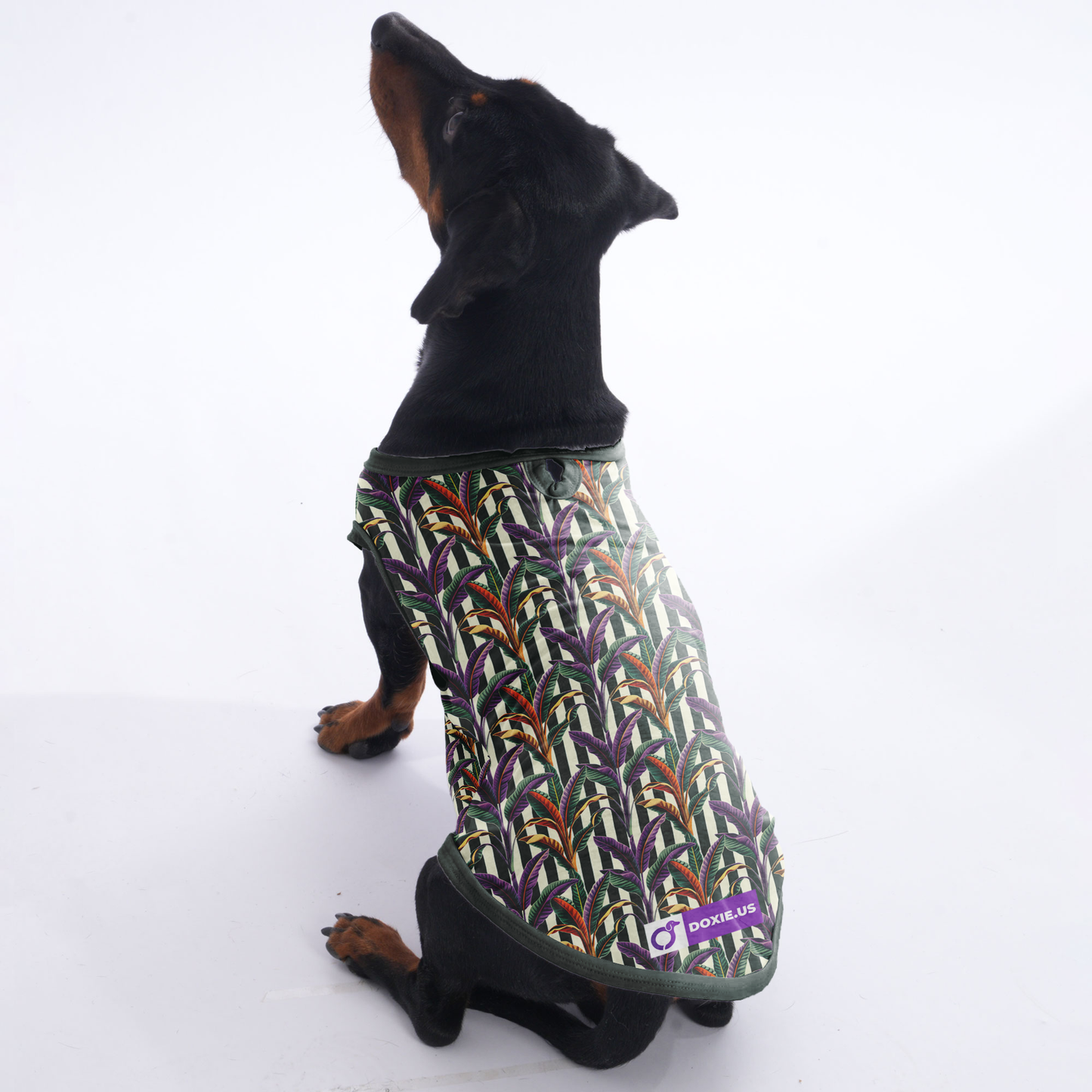 Poppy -  Shirt for Dachshunds