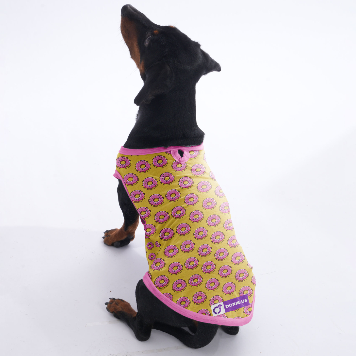 Lily -  Shirt for Dachshunds