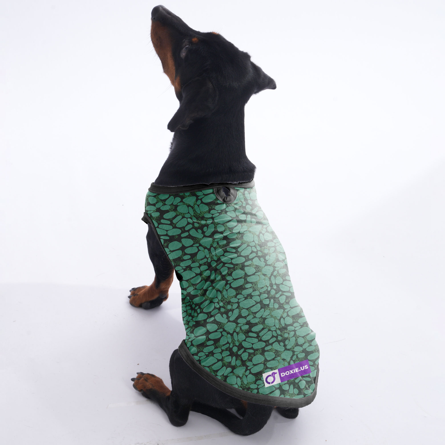 Nala -  Shirt for Dachshunds