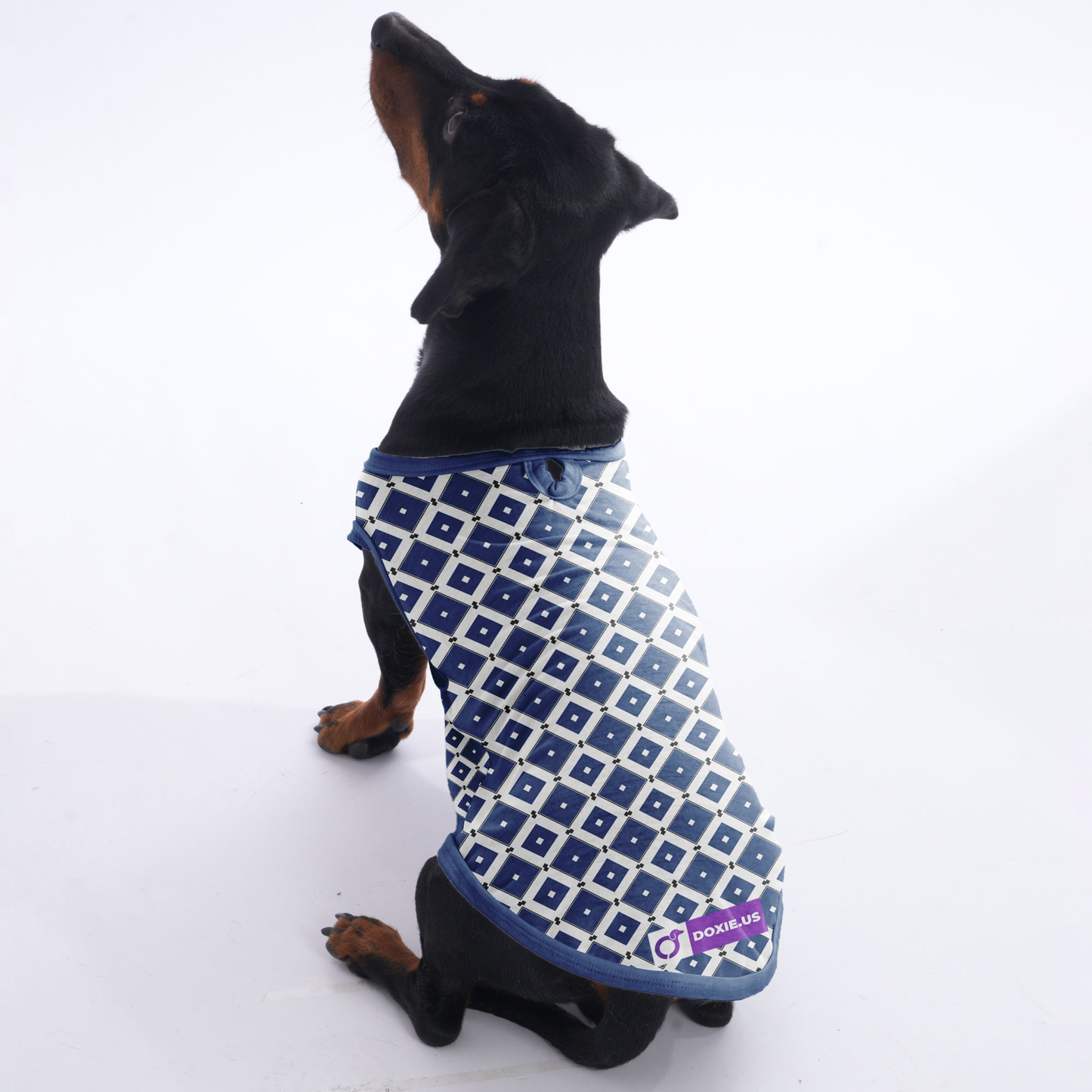 Willow -  Shirt for Dachshunds