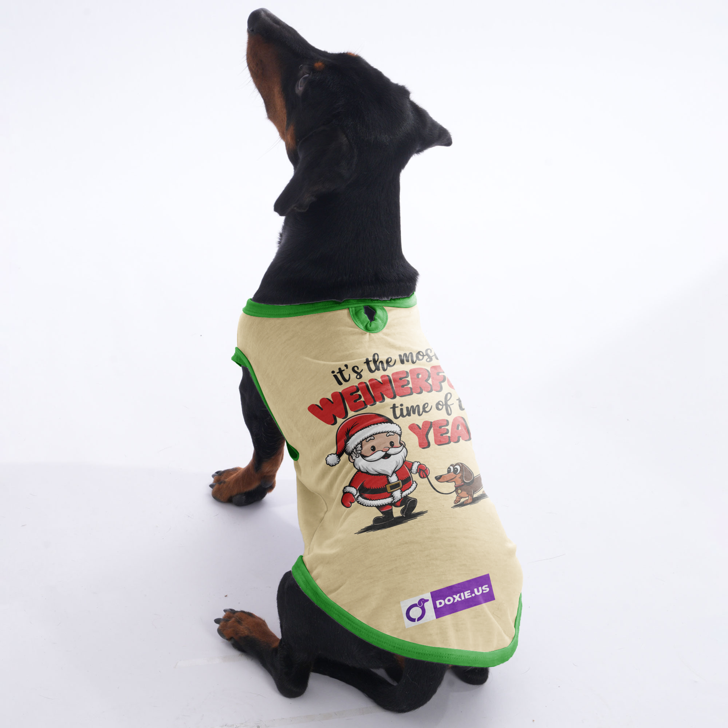 Charlie -  Shirt for Dachshunds