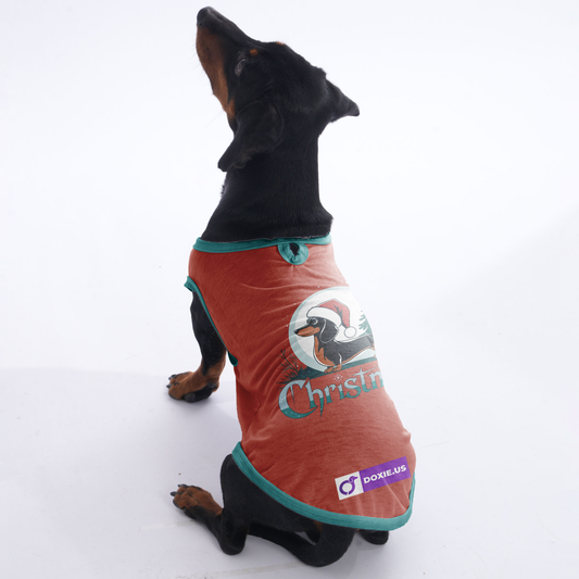 Milo -  Shirt for Dachshunds