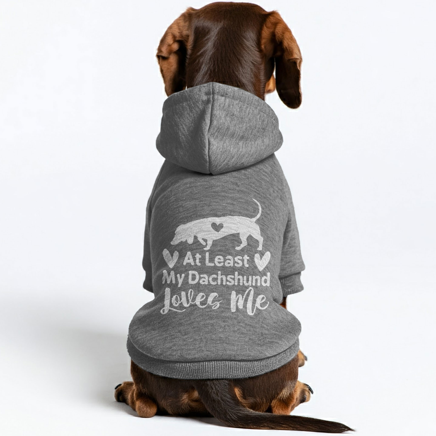 At Least - Personalized Dachshund Hoodies with Funny Quotes – Stylish, Cozy, and Premium 100% Cotton