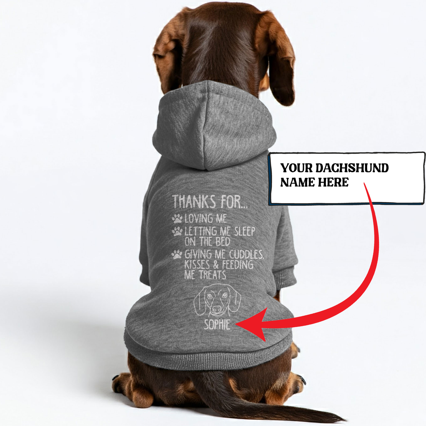 Abby - Personalized Dachshund Hoodies with your doxie name – Stylish, Cozy, and Premium 100% Cotton