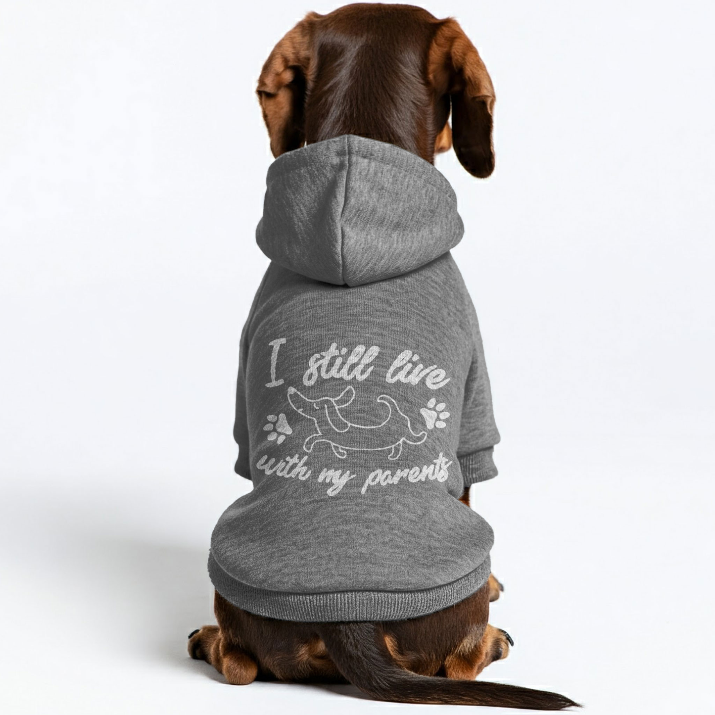 I STILL LIVE WITH MY PARENTS - Personalized Dachshund Hoodies with Funny Quotes – Stylish, Cozy, and Premium 100% Cotton