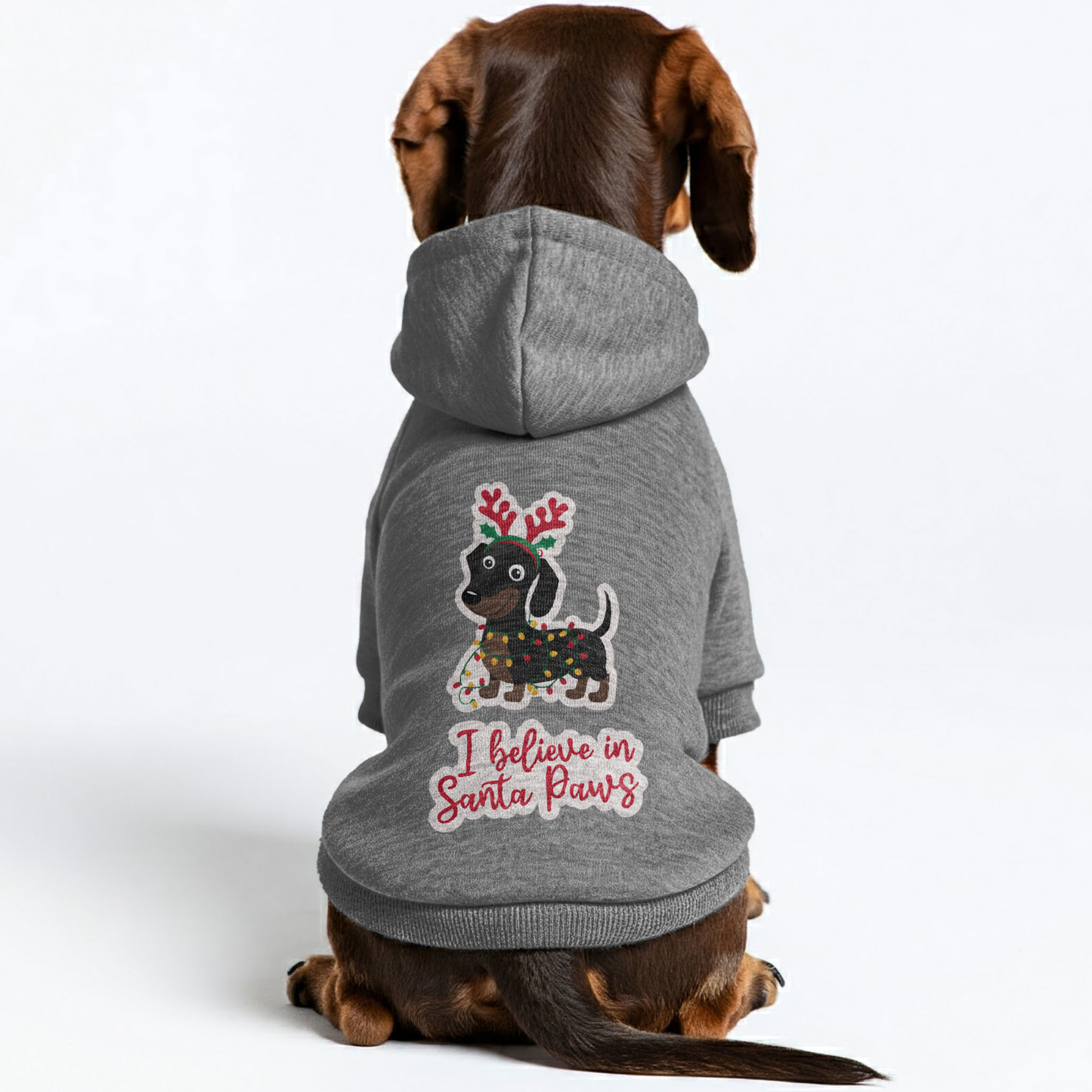 Ace - Personalized Dachshund Hoodies with Funny Quotes – Stylish, Cozy, and Premium 100% Cotton